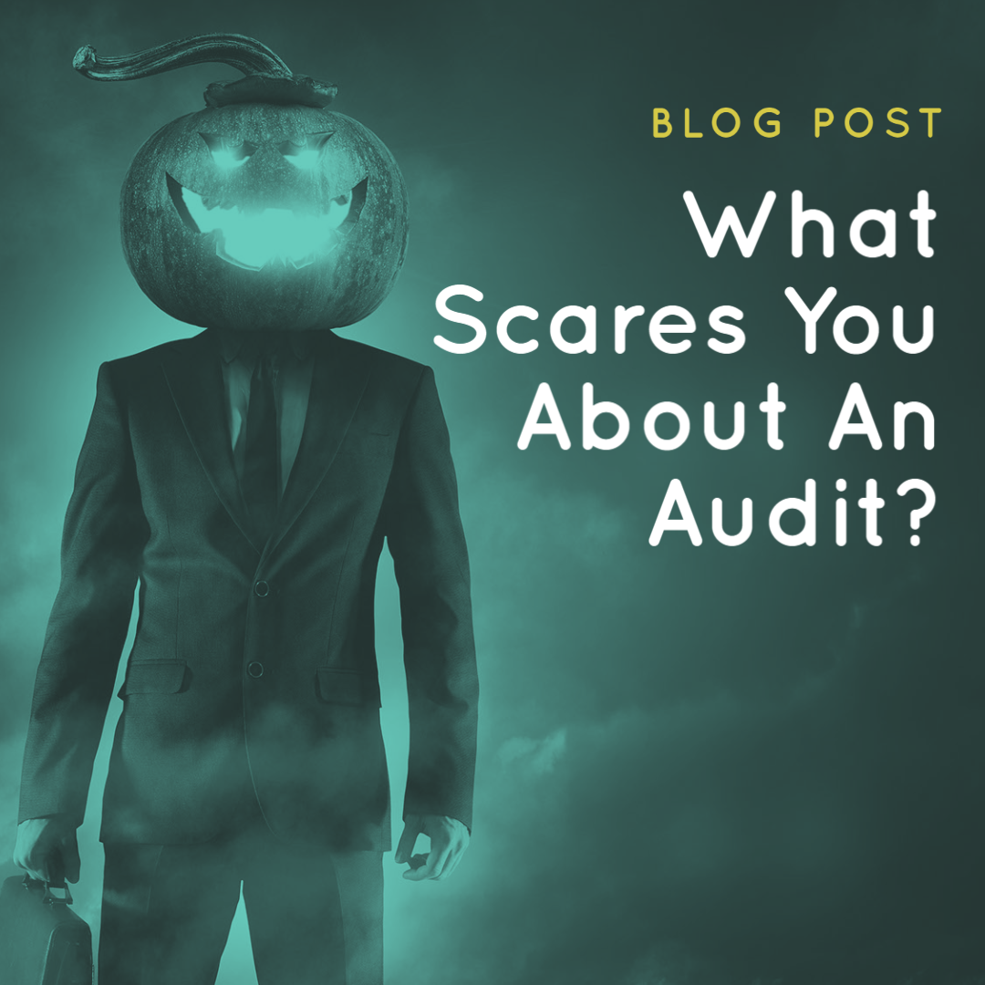 What Scares You About An Audit?